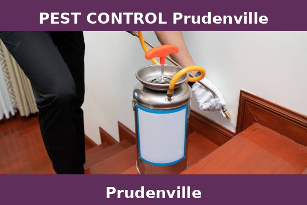 PEST CONTROL Prudenville